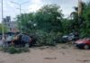 Tremendo rayo cayó en el Pediátrico: derribó un árbol y dañó varios vehículos