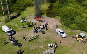 Todos narcos hasta que se demuestre lo contrario