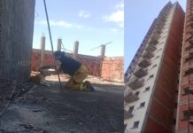 Ataron y abandonaron un perro en la azotea de un edificio en construcción