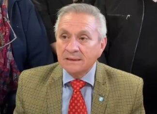 Maldonado: Quieren que vuelva Capitanich para volver a repartirse la plata de los chaqueños