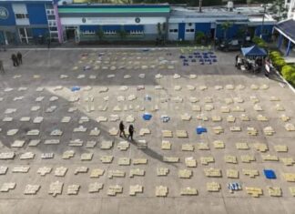 Interceptan un camión con casi 5 toneladas de marihuana en la ruta 11