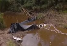 Caso Cecilia: intentaron quemar todo para no dejar pruebas