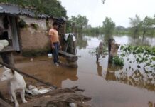 Creciente en Chaco: el Paraná se acelera y podría arrimarse a los 8 metros