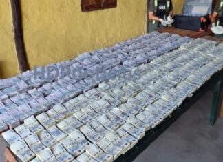 Viajaban de Resistencia a Buenos Aires con más de 514 millones de pesos