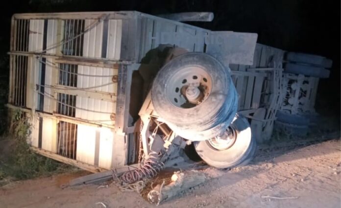 Camión vaquero volcado