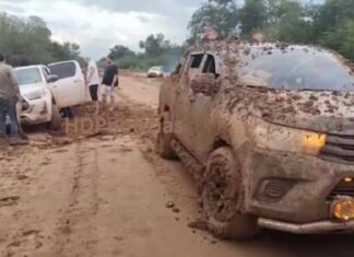 Zdero prometió una pista de aterrizaje en El Impenetrable: La ruta fue una mentira