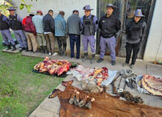 Cuatreros: se “equivocaron” y carnearon una vaca preñada y un cordero del vecino