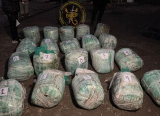 Secuestran más de 234 kilos de marihuana en La Leonesa