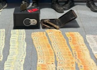 Dejaron a un sobrino de casero y les robó todos los ahorros