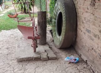 Pampa del Indio: encontraron un feto en el patio de una casa