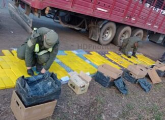 Golpe al narco: camión jaula transportaba 172,5 kilos de cocaína
