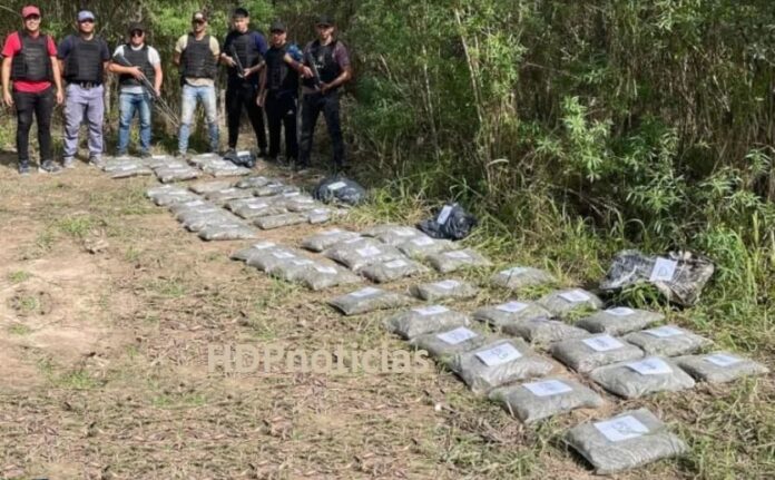 Marihuana en El Impenetrable