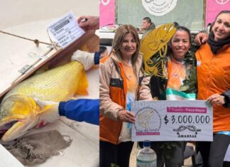 Pesca del Dorado: el equipo de la exdiputada Insaurralde obtuvo la pieza mayor