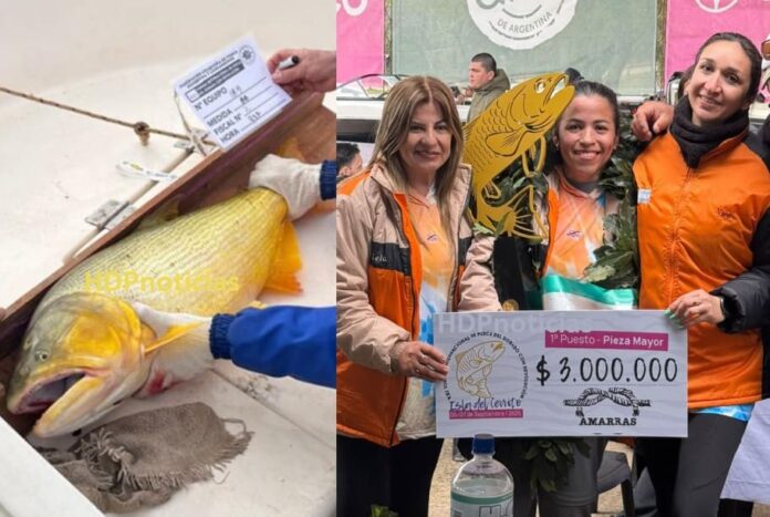 Dorado mayor en la Isla