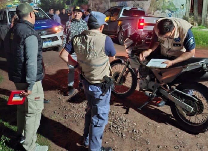 Falcon recuperada en la zona sur