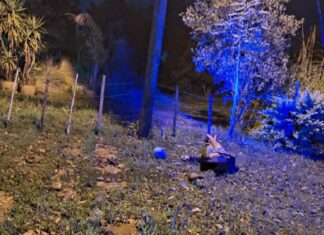 Electrocutado: murió al tocar un boyero en el barrio Mapic