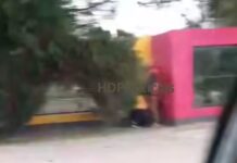 Sorprendidos en pleno acto sexual a la luz del día en un parque de la Termal