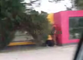 Sorprendidos en pleno acto sexual a la luz del día en un parque de la Termal