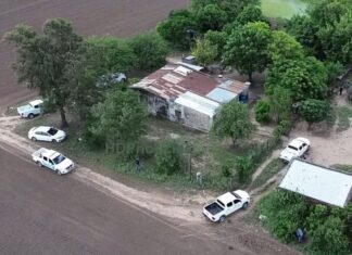 Crimen en Napenay: secuestraron armas y detuvieron a un productor vecino