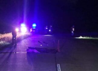 Chocaron y mataron a un peatón en la ruta 9: el vehículo se fugó