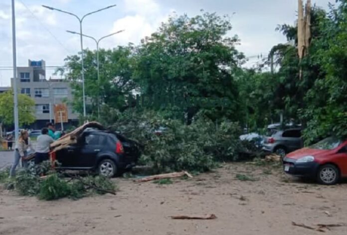 Un rayo en el Pediátrico