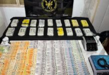 Secuestraron 19,5 kilos de cocaína con el sello del Delfín en Resistencia