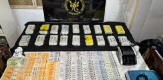 Secuestraron 19,5 kilos de cocaína con el sello del Delfín en Resistencia