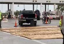 Interceptaron un camión con 1200 kilos de marihuana en el puente