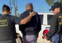 Cayó otro policía coimero: “recaudaban” en las rutas 11 y 16