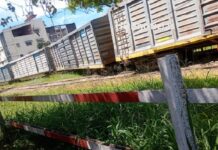 Tren con 37 vagones descarriló en pleno centro de Resistencia