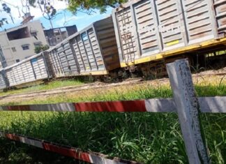 Tren con 37 vagones descarriló en pleno centro de Resistencia