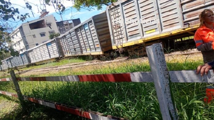 Tren descarrilado en pleno centro