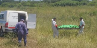 Encontraron a un hombre muerto a la vera de la ruta 16 en Quitilipi
