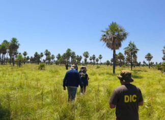Buscan un avión fantasma que habría caído en el límite con Santa Fe