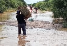 Desborde del Bermejo dejó varios parajes aislados en El Impenetrable