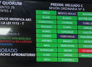 Ley de Puertos: el coquismo le dio la derecha al oficialismo