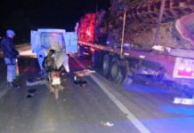 Motociclista murió al chocar un camión en la banquina de la ruta 16