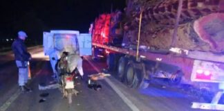 Motociclista murió al chocar un camión en la banquina de la ruta 16