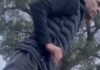 Policía amenaza con “meter falopa” para detener a un hombre en Villa Berthet