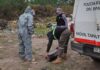 Hallaron un recién nacido muerto en un basural de San Bernardo