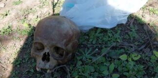 Encontraron un cráneo humano en la vía pública en Quitilipi
