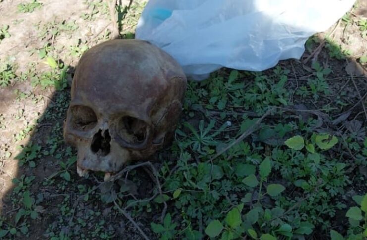 Encontraron un cráneo humano en la vía pública en Quitilipi