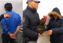 Cayó un ladrón de gallinas en Puerto Vilelas