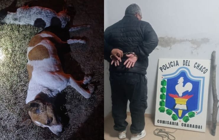 Colgó y mató a garrotazos a sus perros porque atacaban a sus chivos