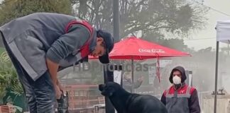 A pesar del clima, nadie falta a la Bienal, ni las mascotas