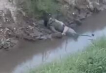 Encontraron a un hombre muerto en un zanjón en Quitilipi