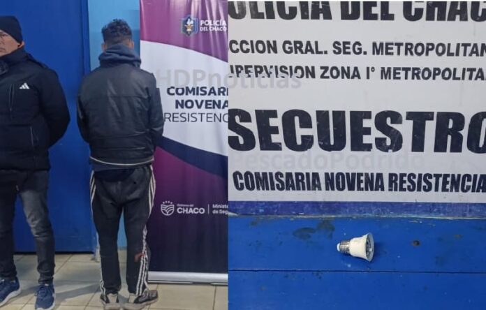 Ladrón de culito de foco