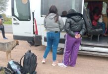 Mulas: 2 mujeres cayeron con sus corpiños rellenos de cocaína