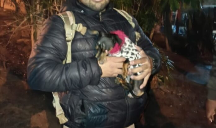 Perrita rescatada