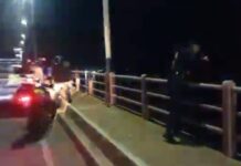 Un hombre saltó al Paraná desde el puente General Belgrano